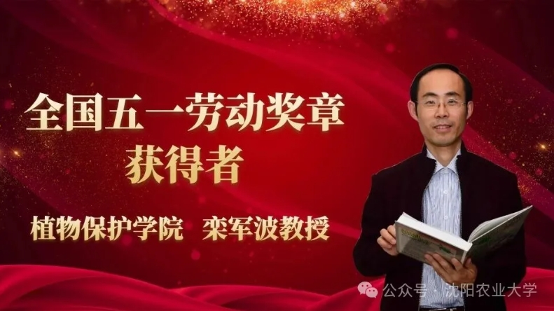 乐球体育
