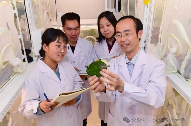 乐球体育