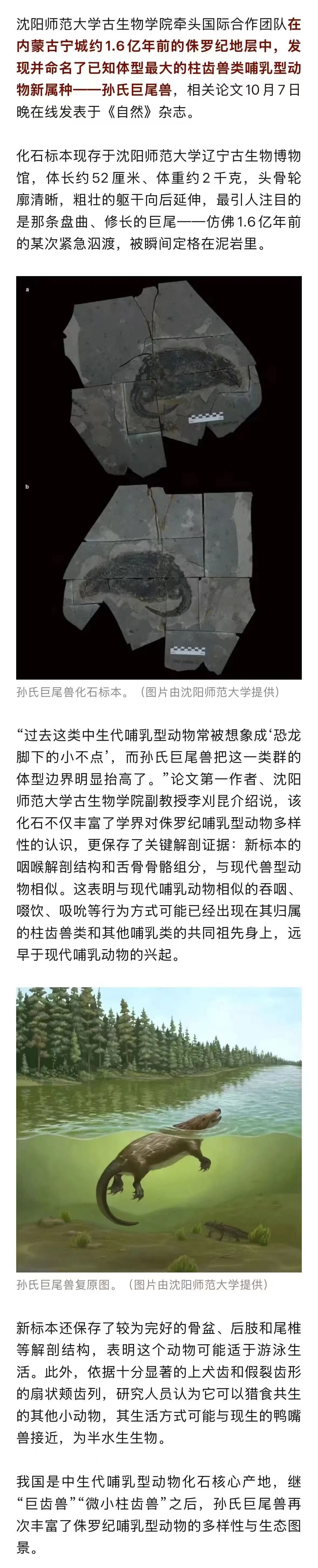 乐球体育
